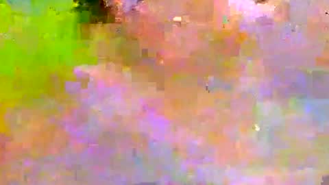 millhill17 online show from 13, 1, 2026