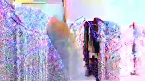 millhill17 online show from 8, 3, 2026