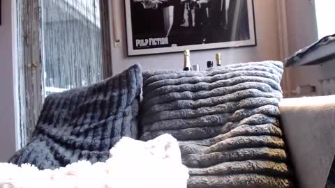 Ben online show from 10, 2, 2026