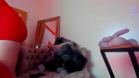 Miranda online show from 16, 12, 2025