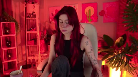 Misa online show from 2, 3, 2026