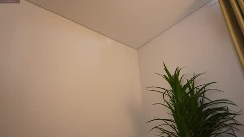 miss airi online show from 1, 3, 2026