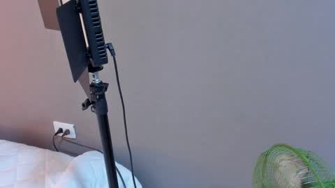 daniela online show from 27, 10, 2025