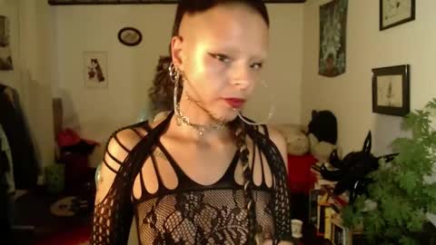 Anarkitten  online show from 27, 2, 2025
