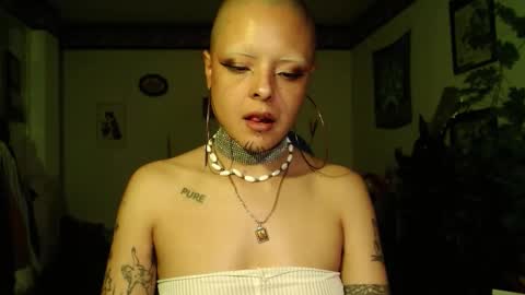 Anarkitten  online show from 19, 12, 2025