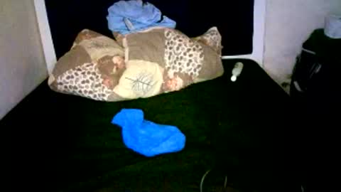 VAL online show from 7, 1, 2026