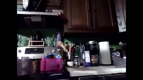 MissEeva online show from 14, 12, 2024