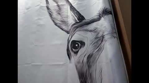 MissEeva online show from 17, 2, 2025