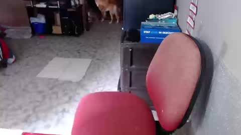 Maria Gomezz online show from 19, 3, 2026