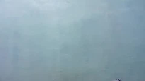 Merry online show from 8, 11, 2025