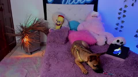 Snapshot of misstexass_ chatting on 4, 12, 2024 Natalie Texass indepedent model online show from 4, 12, 2024