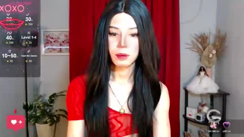 Stella online show from 17, 11, 2025