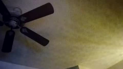 Snapshot of mitchnails69 chatting on 10, 10, 2025 BobbyMitchGa online show from 10, 10, 2025