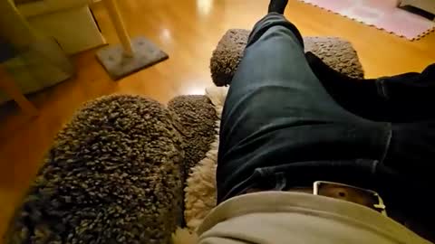 Snapshot of mojo28112 chatting on 25, 11, 2025 mojo28112 online show from 25, 11, 2025