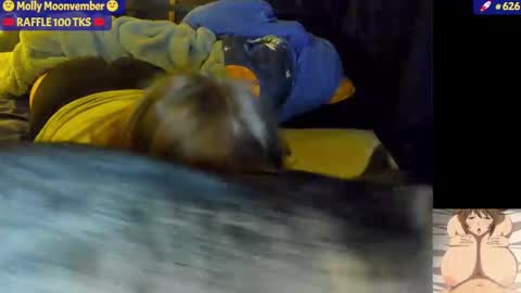 molly_moons online show from 17, 11, 2025