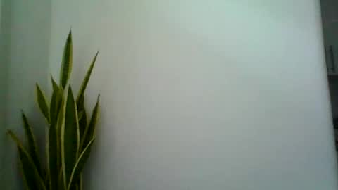 mollypepe online show from 9, 9, 2025