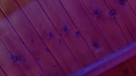 Monica Rosse online show from 4, 2, 2026