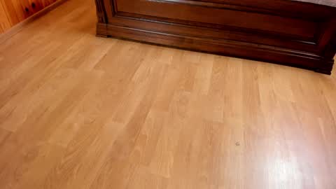 Monika NO c2c ever. PVT free Naked Fingering pussy doggy or standing BJ HJ Feet Fashion. PVT extra Toy control 400tk. online show from 23, 1, 2025
