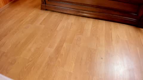 Monika NO c2c ever. PVT free Naked Fingering pussy doggy or standing BJ HJ Feet Fashion. PVT extra Toy control 400tk. online show from 25, 1, 2025