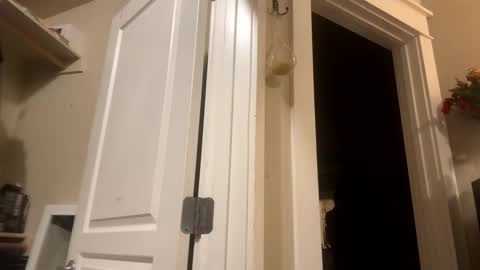 Monroe online show from 8, 12, 2024