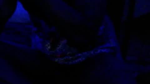 Snapshot of montydxxx2 chatting on 17, 12, 2025 montydxxx2 online show from 17, 12, 2025