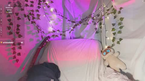 Dana online show from 11, 12, 2024