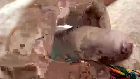 Snapshot of moreletii chatting on 7, 1, 2026 Me online show from 7, 1, 2026