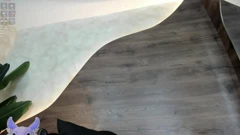  Morgan  online show from 18, 2, 2025