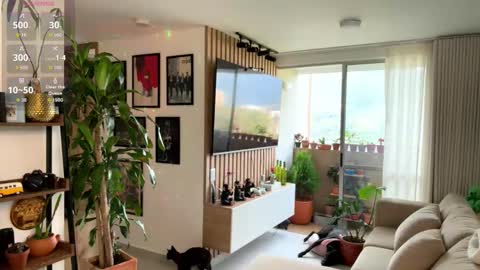   online show from 21, 2, 2026