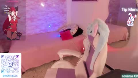 Morgan-Redds online show from 18, 11, 2025