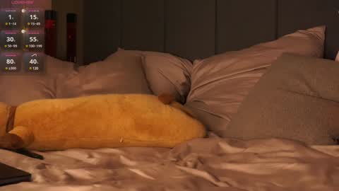 Snapshot of morphesoull chatting on 20, 12, 2024 morphe online show from 20, 12, 2024