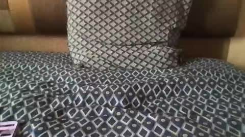 morrow7 online show from 9, 9, 2025