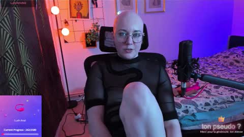 Cernos online show from 4, 11, 2025