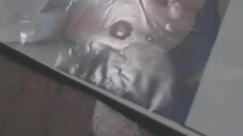 mowfbreever online show from 18, 10, 2025