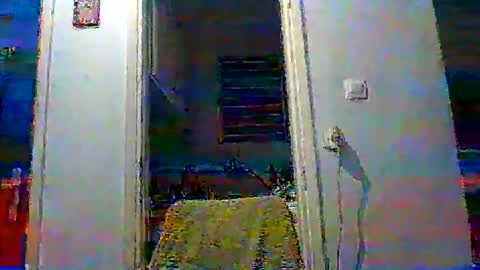 mppempis81 online show from 19, 11, 2025