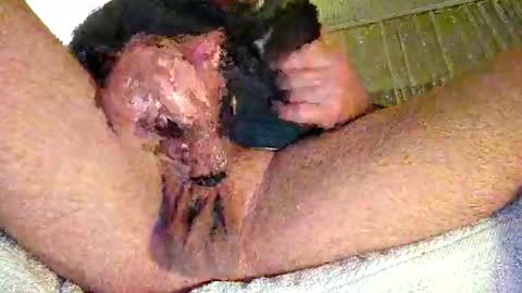 mr_niceguy83 online show from 7, 2, 2026