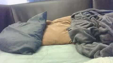 Snapshot of mranal93 chatting on 8, 10, 2025 mranal93 online show from 8, 10, 2025