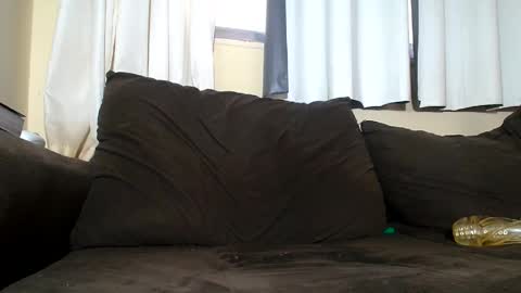 Snapshot of mrbrown_strong chatting on 5, 12, 2024 mr brown online show from 5, 12, 2024