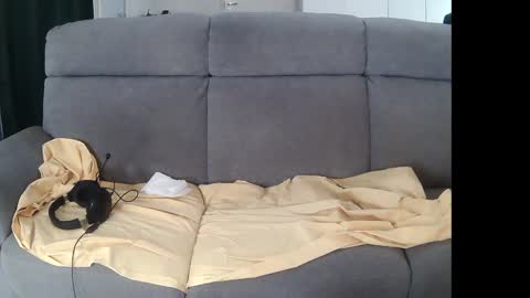 Snapshot of mreurope69 chatting on 5, 12, 2024 I am Hardy online show from 5, 12, 2024