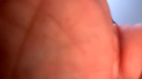 mrfrankfuckforfree online show from 19, 1, 2025