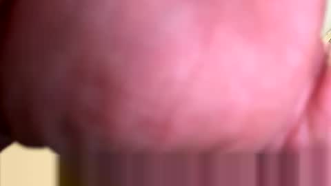 mrfrankfuckforfree online show from 3, 3, 2026