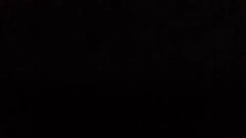 Nikola online show from 11, 11, 2025