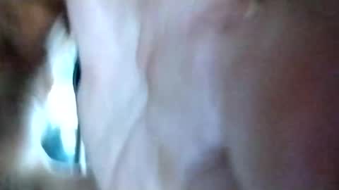 mrhotcock7inch online show from 27, 12, 2024