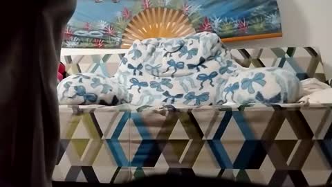 ms2wet4u1000 online show from 5, 11, 2025