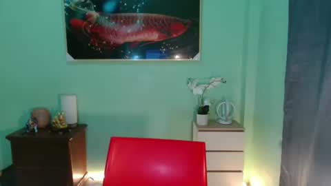 msmeygan online show from 10, 12, 2024