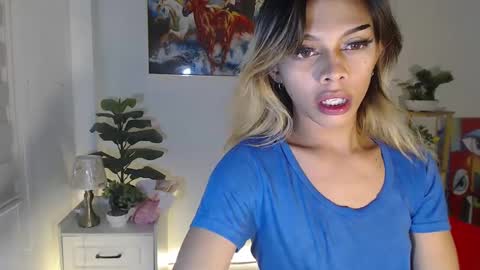 msmeygan online show from 17, 12, 2024