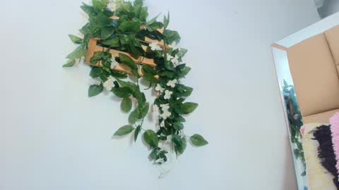 MARIA ANTONELLA 3 online show from 15, 1, 2026