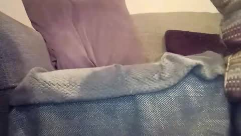 Snapshot of mtx9889 chatting on 17, 12, 2025 mtx9889 online show from 17, 12, 2025