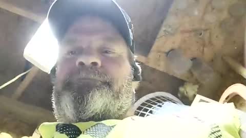 muddflapz online show from 29, 10, 2025