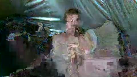 mudjimba online show from 31, 3, 2026